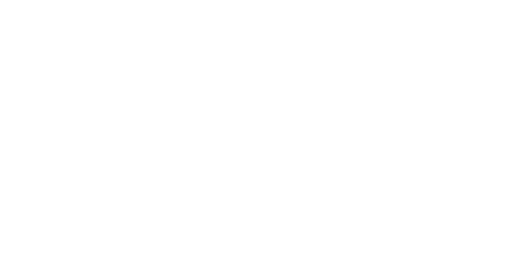 Summer Festival logo